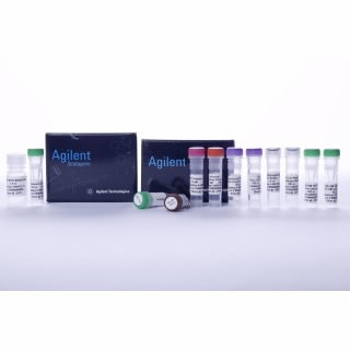 miRNA QRT-PCR Detection Kit